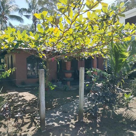 Micheck Beach House Тортугеро Екстер'єр фото