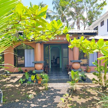 Micheck Beach House Тортугеро Екстер'єр фото
