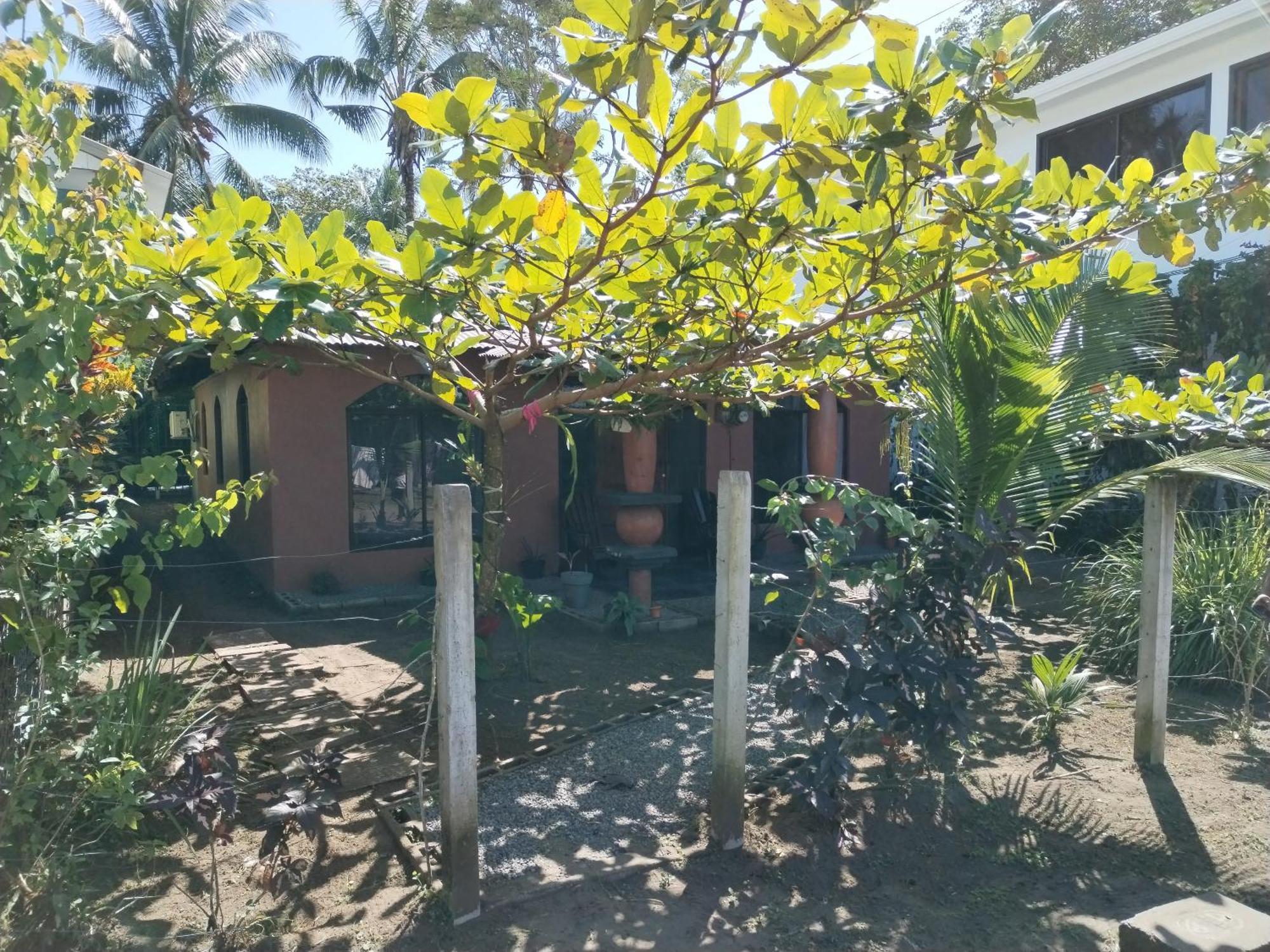 Micheck Beach House Тортугеро Екстер'єр фото