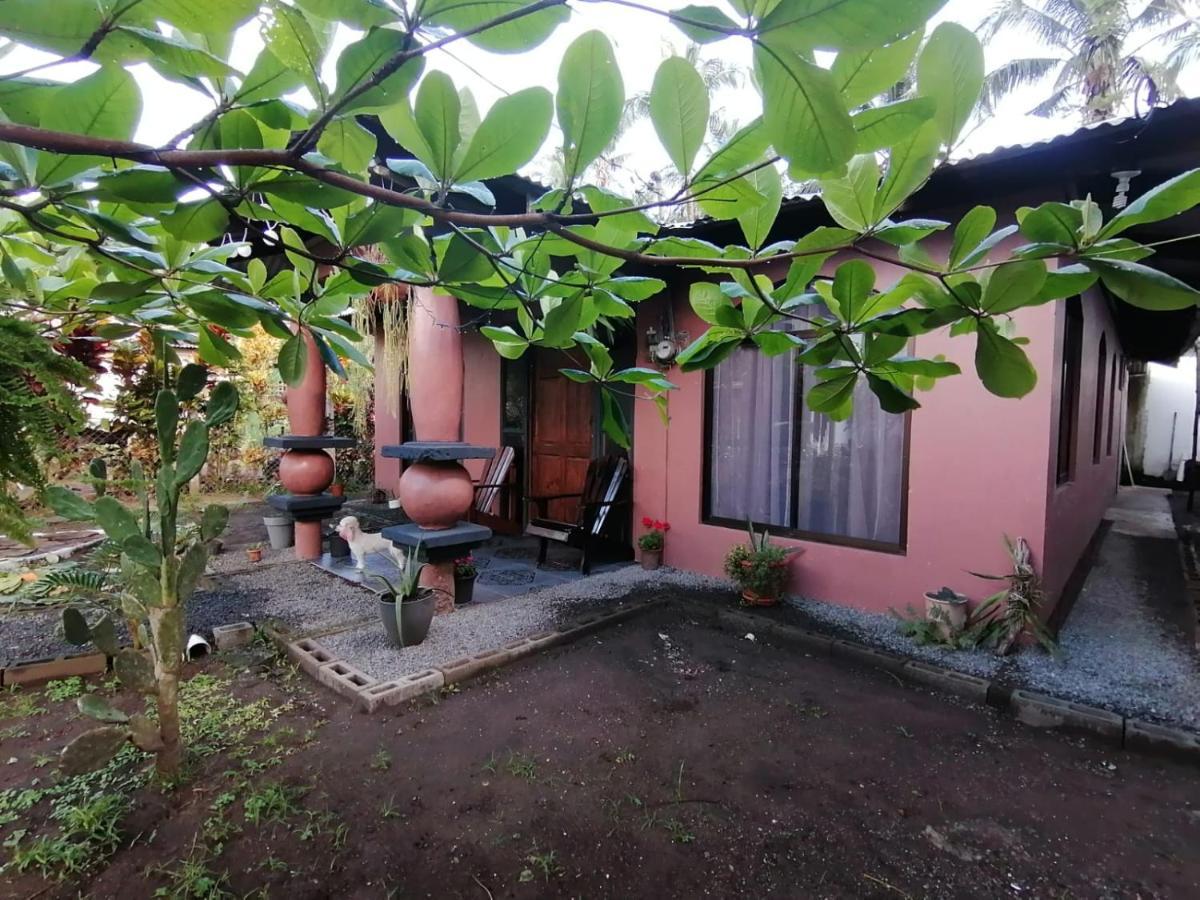 Micheck Beach House Тортугеро Екстер'єр фото