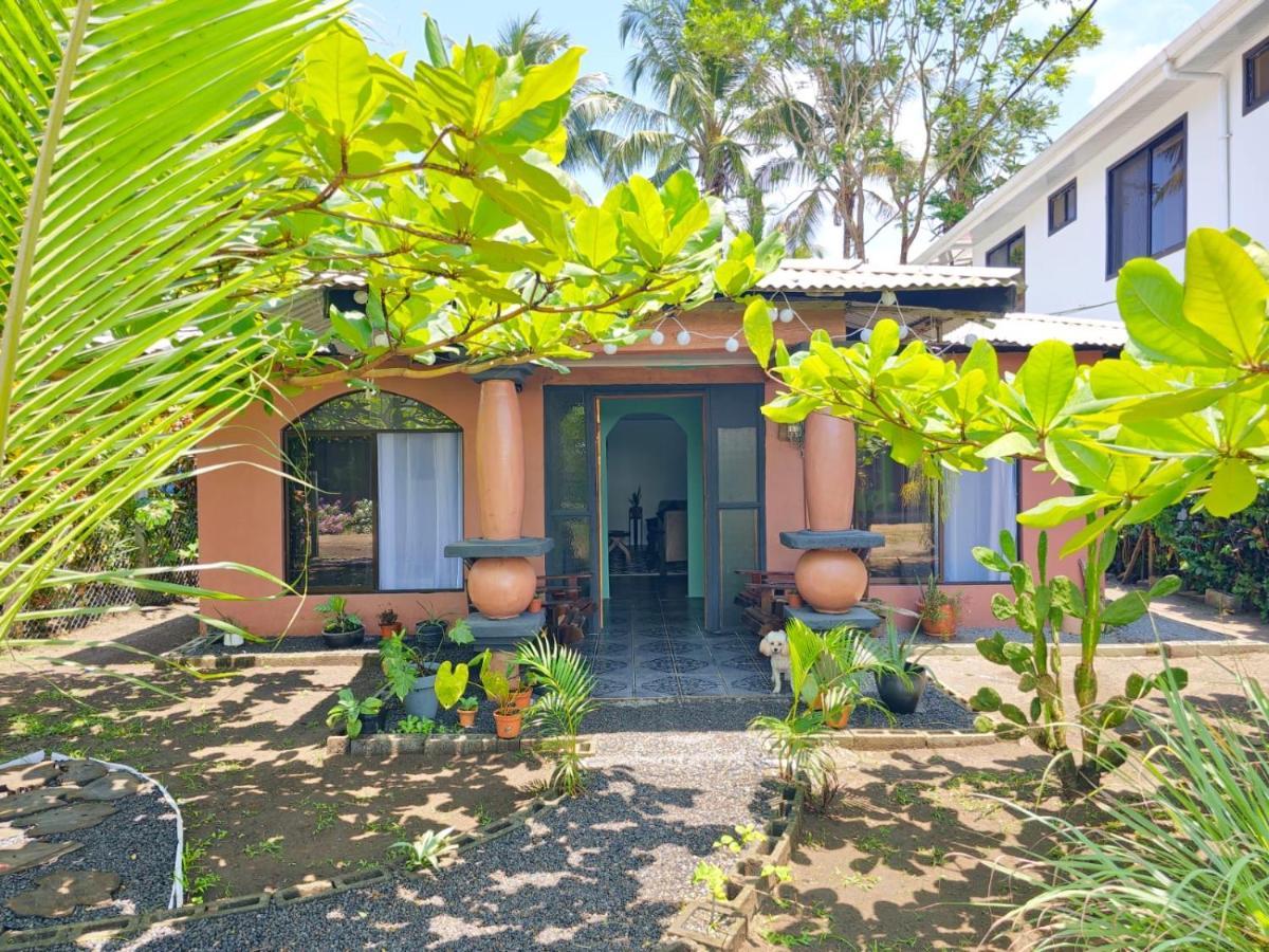 Micheck Beach House Тортугеро Екстер'єр фото